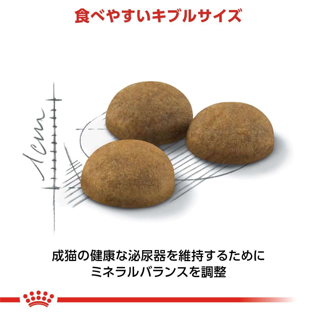 インドア ロングヘアー（室内 成猫用 ドライ） | Royal Canin JP