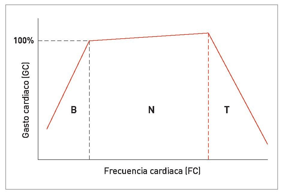 Relación entre el gasto cardiaco (GC) y la frecuencia cardiaca (FC) 