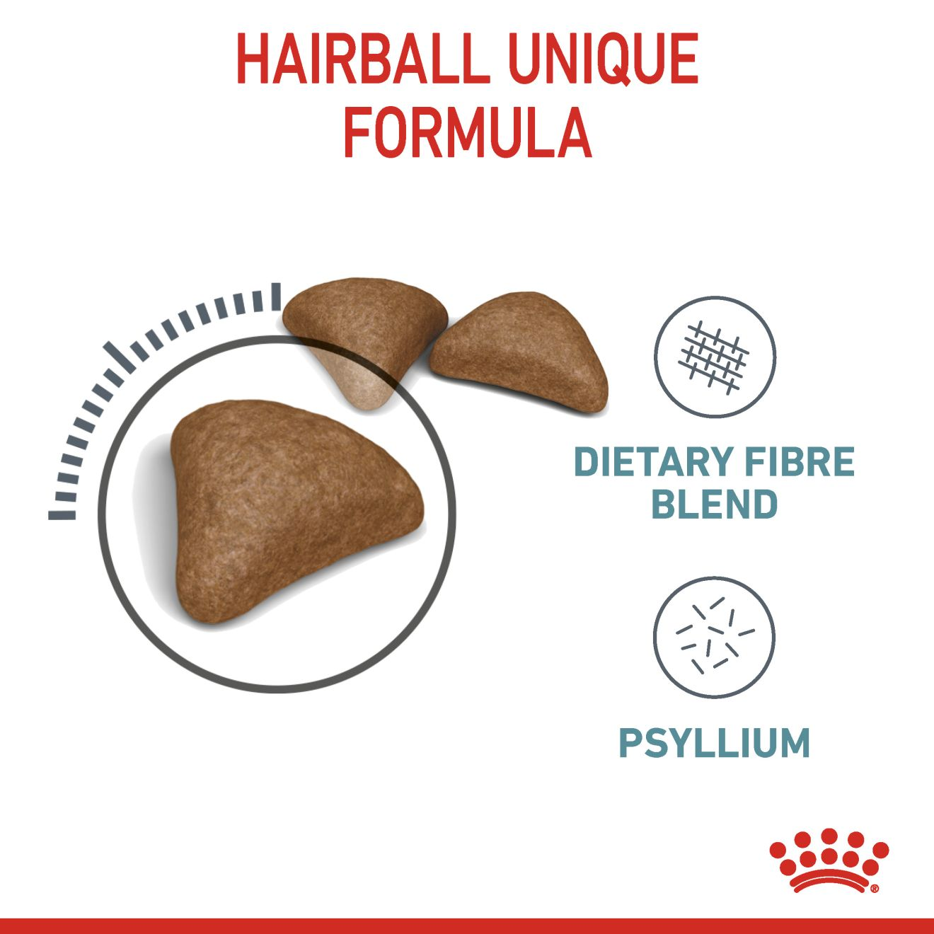 Hairball Care Dry Cat Food 
