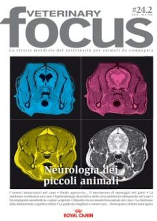 Neurologia dei piccoli animali