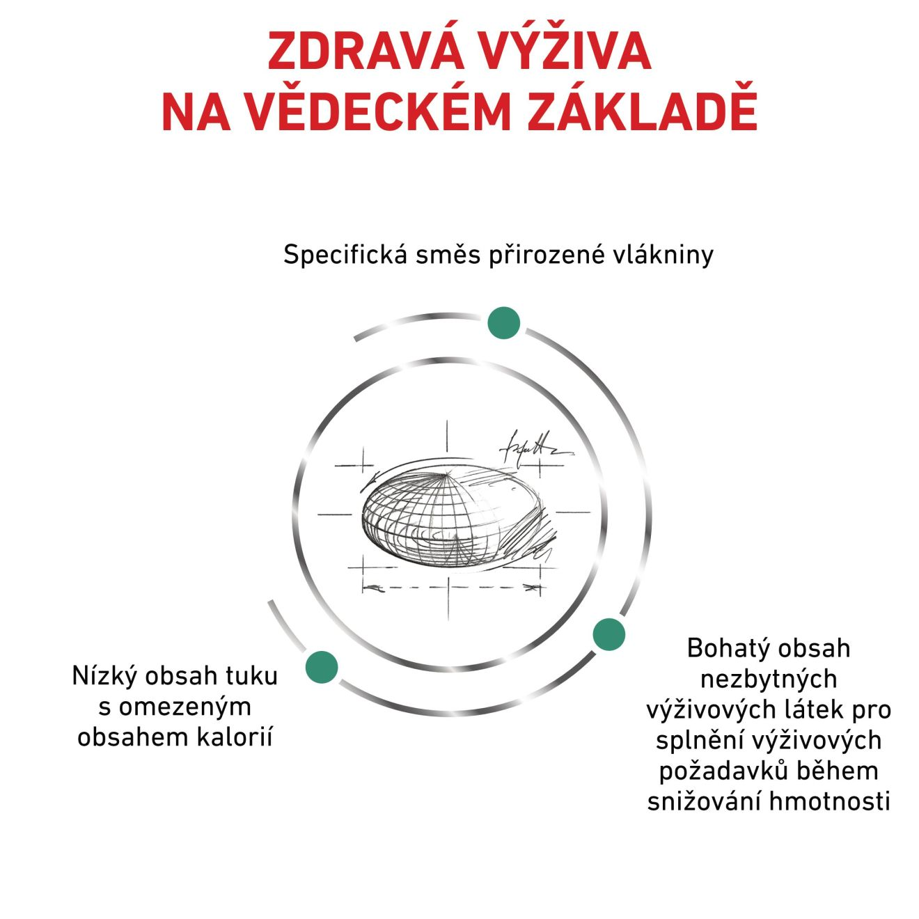 VHN Cat Satiety Weight Management
