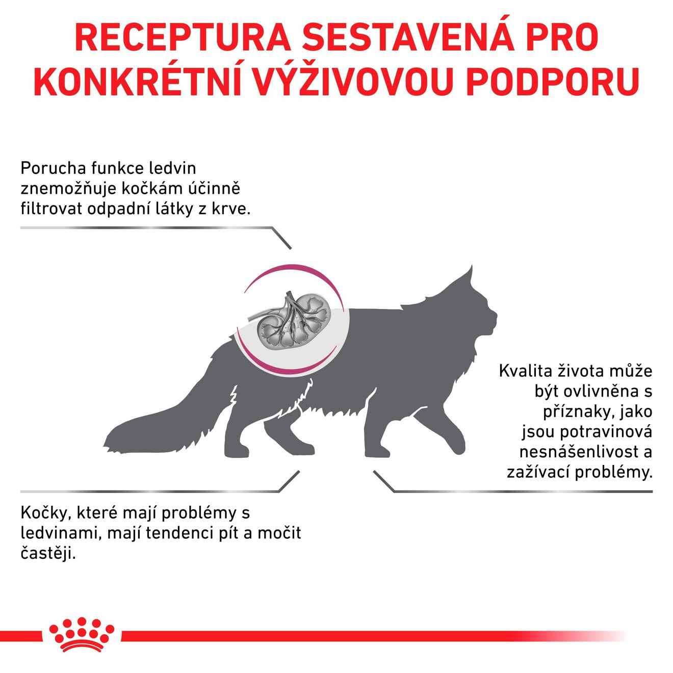 VHN Cat Renal Special