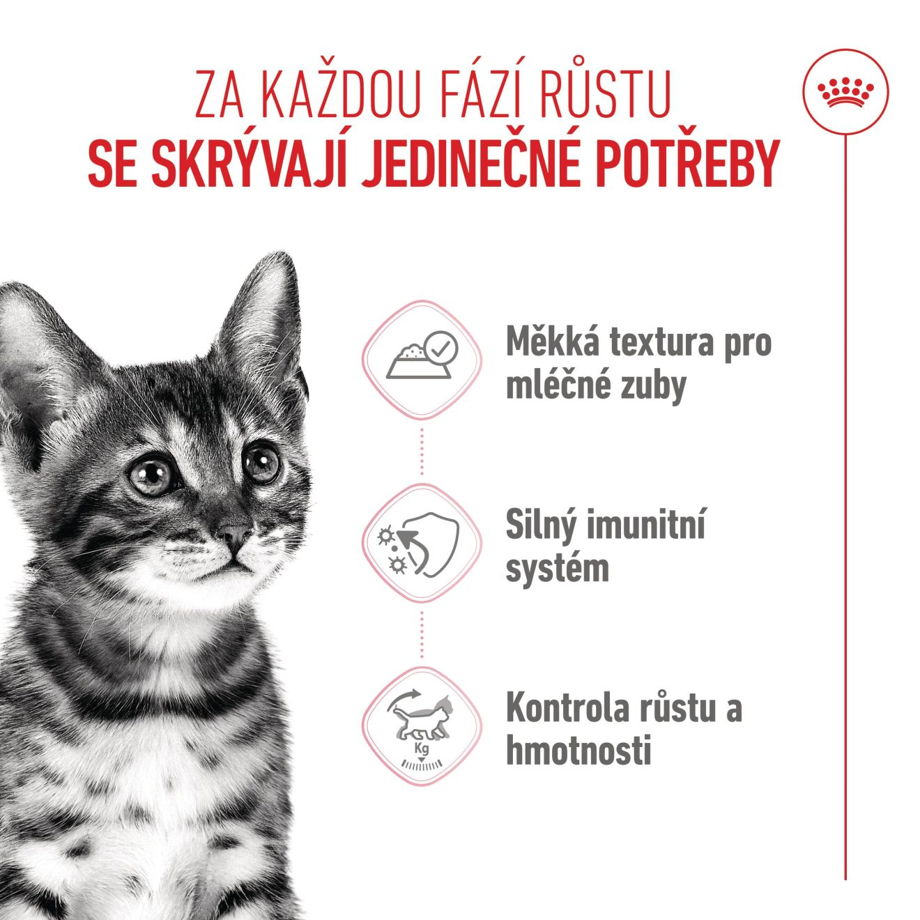 KITTEN STERILISED kousky ve šťávě