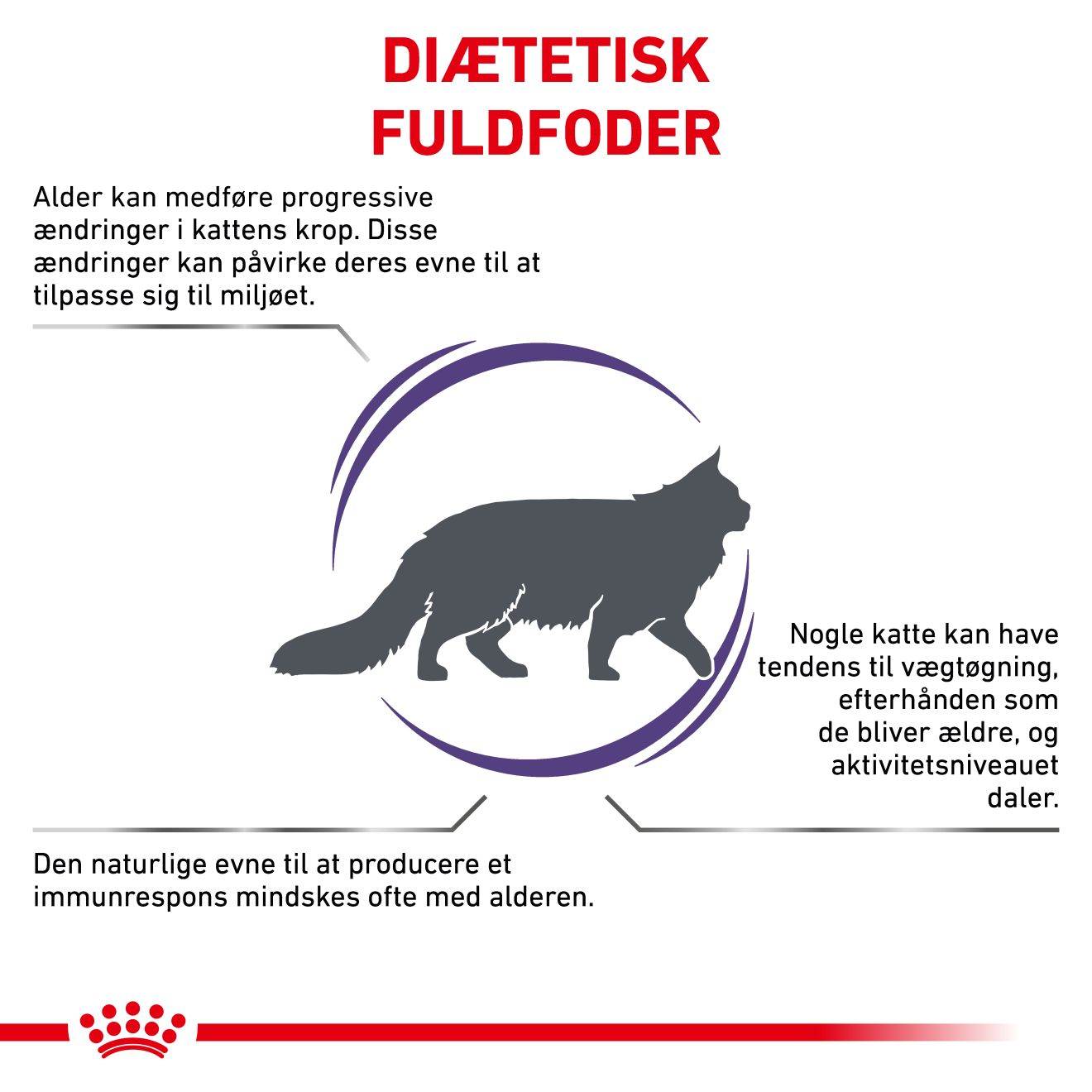 Health Mature Consult Balance