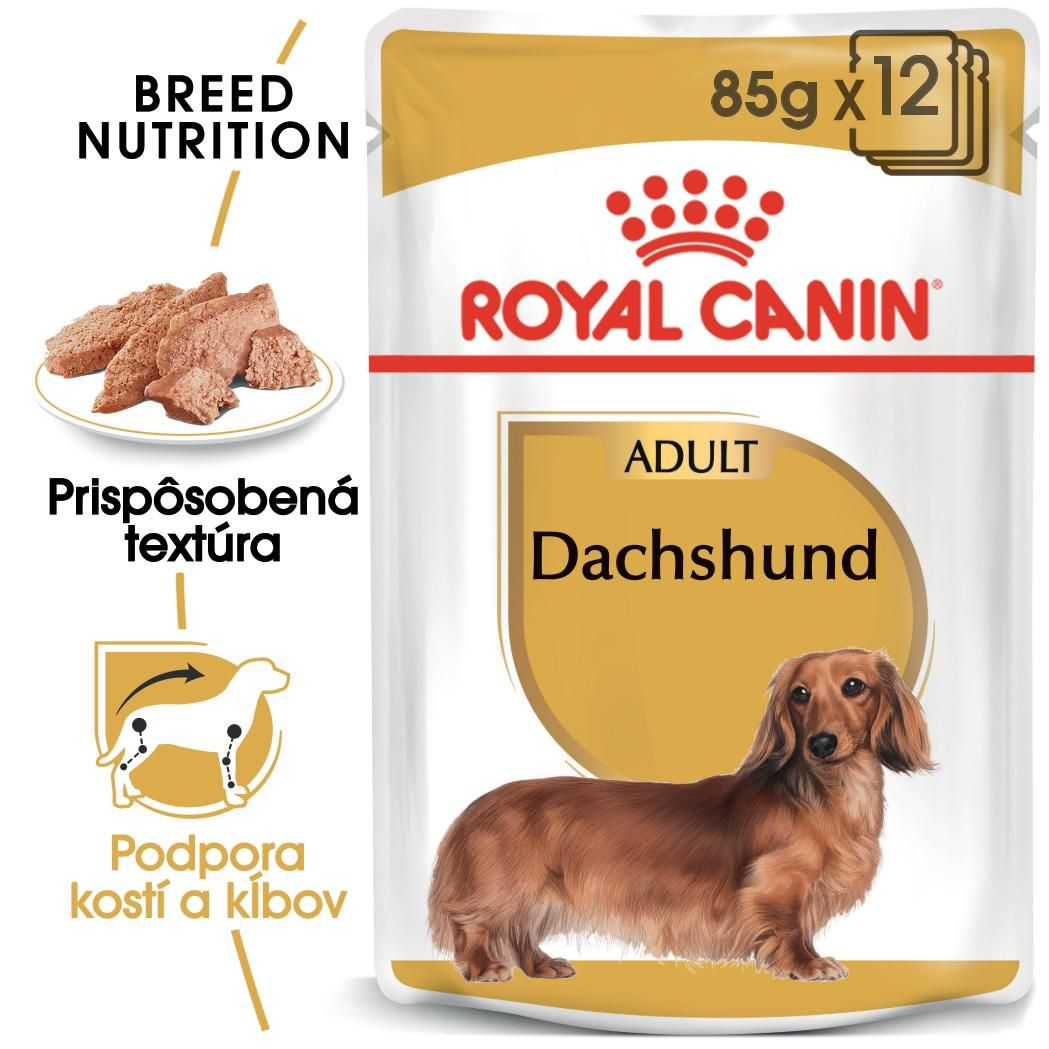 DACHSHUND