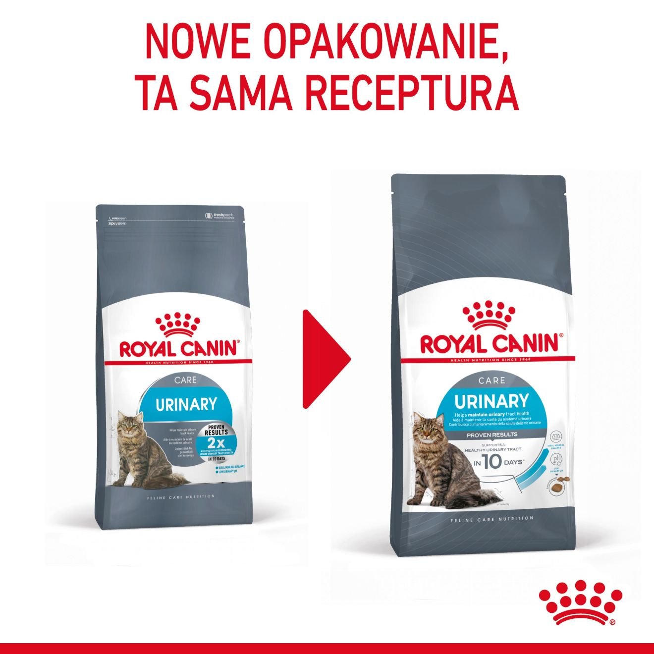 Urinary care | Royal Canin PL