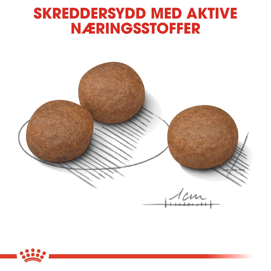 Digestive Care Medium