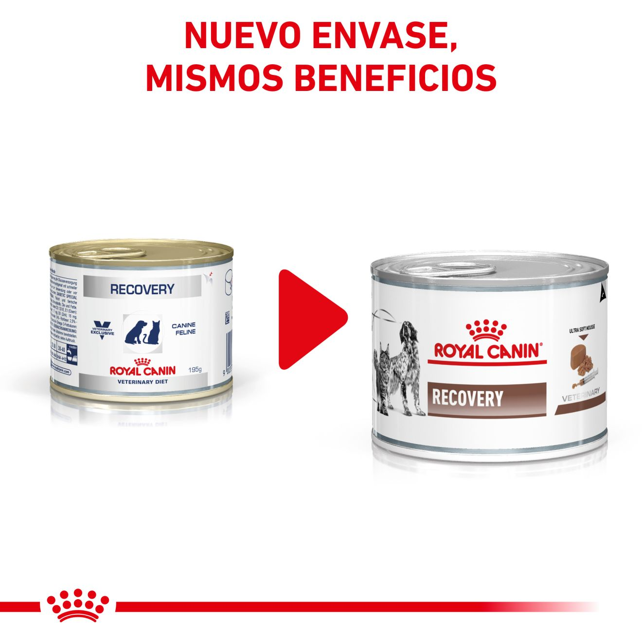 Ração Úmida Royal Canin Recovery para Cachorros e Gatos em Recuperação Lata  195g - KIT 3un.