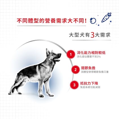 A+_MXA+5_正方形_2