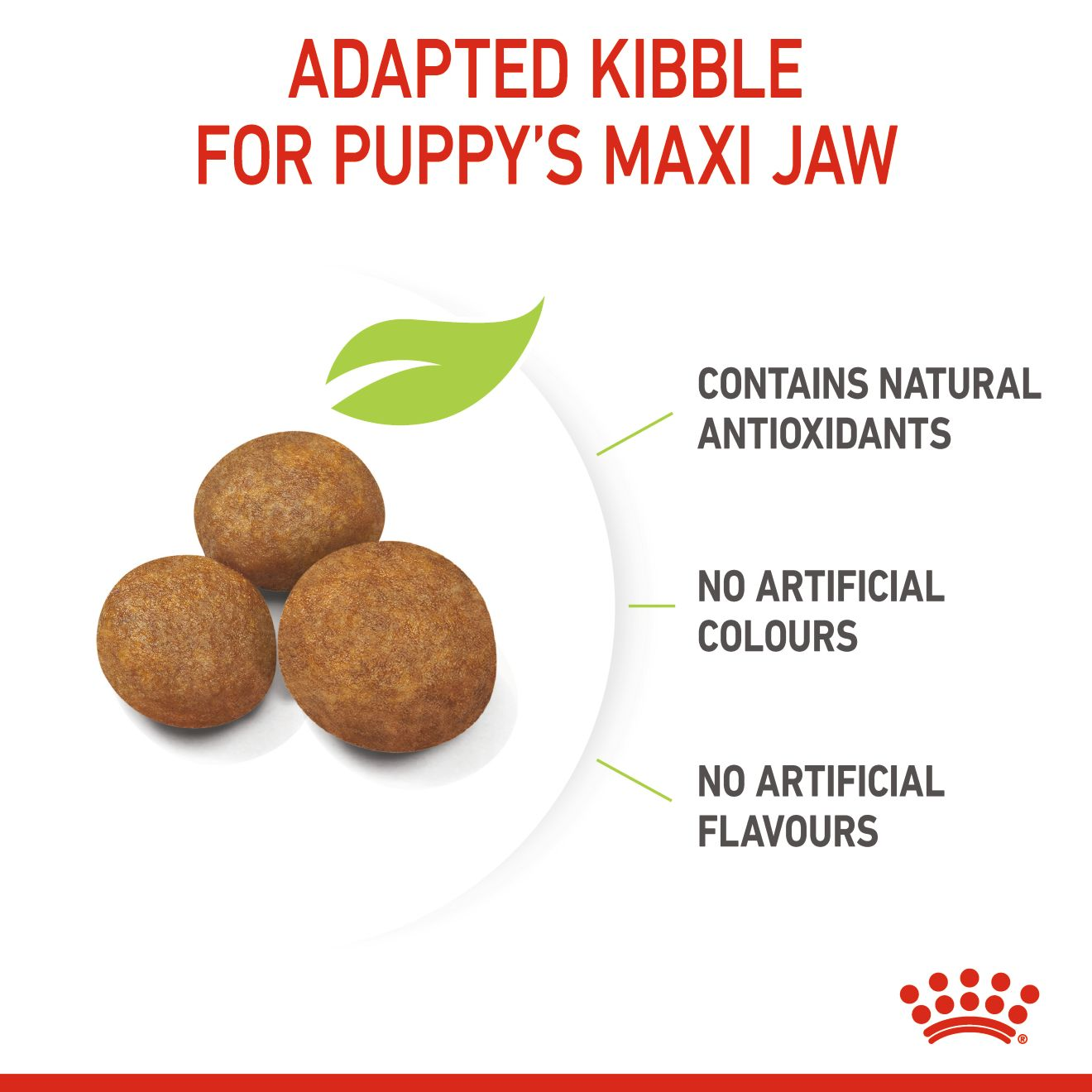 Maxi Puppy | Royal Canin AU