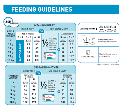 Mini Starter | Royal Canin