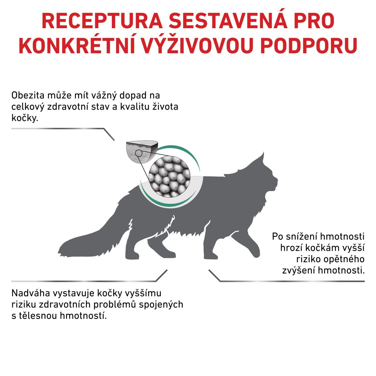 VHN Cat Satiety Weight Management