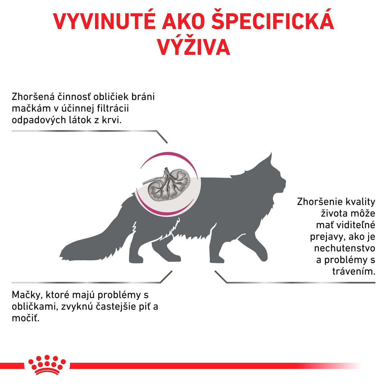 VHN Cat Renal Special