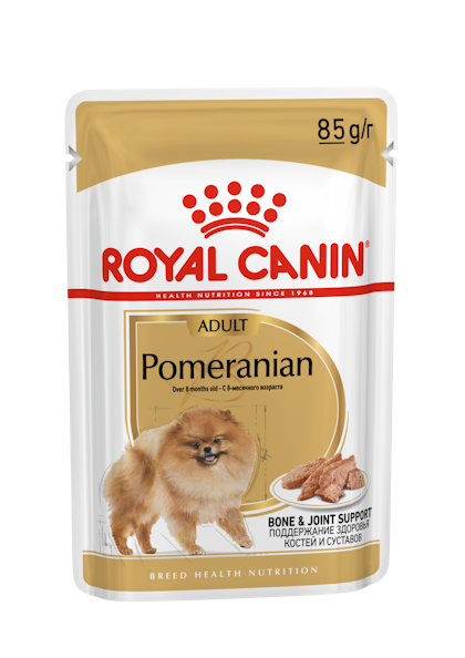 POMERANIAN-PACKSHOT-POUCH-B1-BHN20