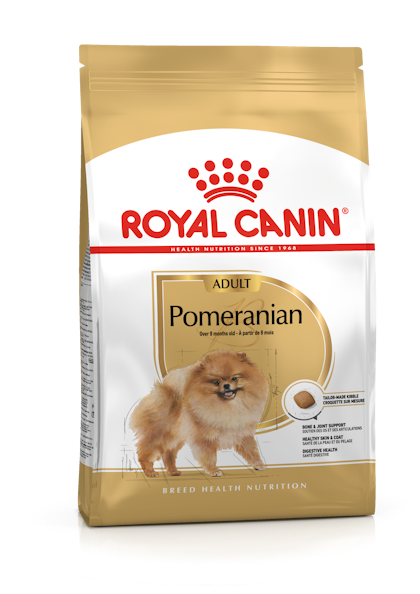 POMERANIAN ADULT-PACKSHOT-B1-BHN20