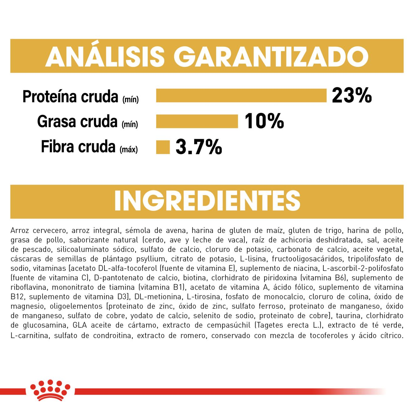 Schnauzer Miniatura Adulto