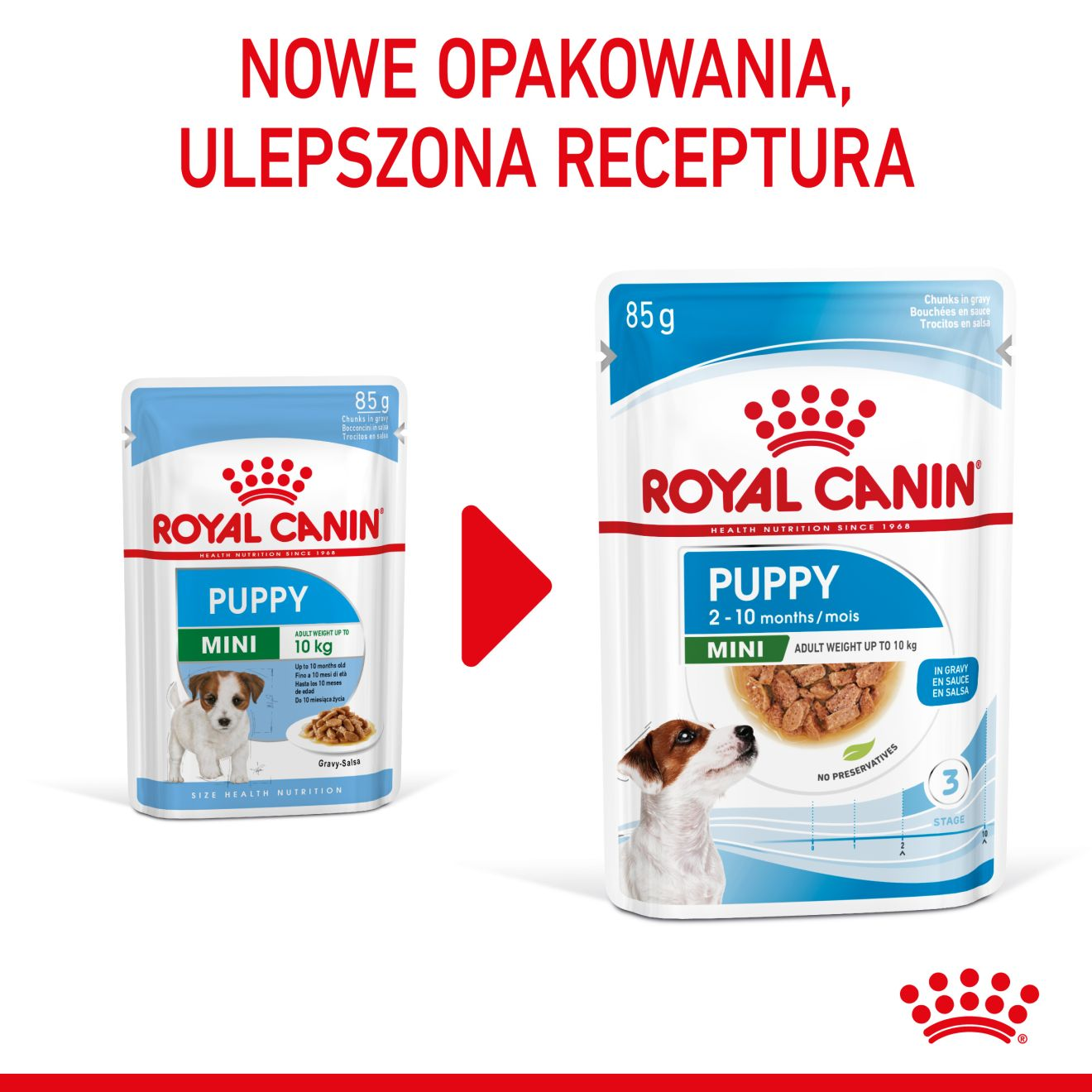 ROYAL CANIN Mini Puppy karma mokra w sosie dla szczeniąt do 10 miesiąca, ras małych