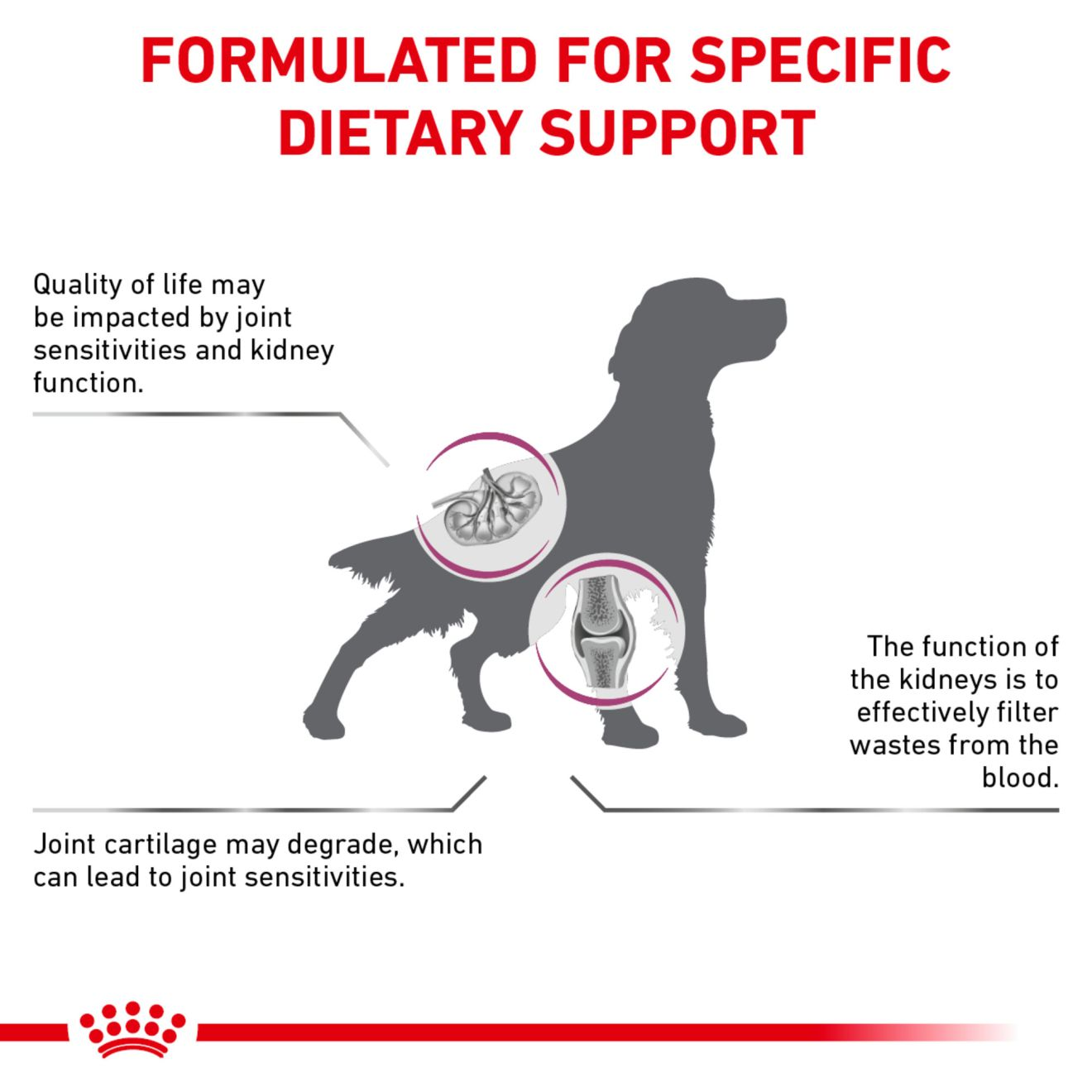 Canine Renal Support + Advanced Mobility Support | Royal