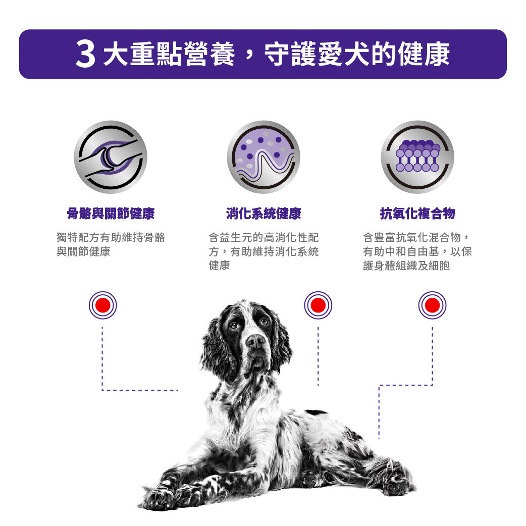 大型成犬健康管理配方