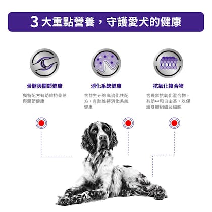 大型成犬健康管理配方_方_2
