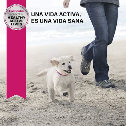 EUK-SP-Puppy-Lamb-MV-Eretailkit.2