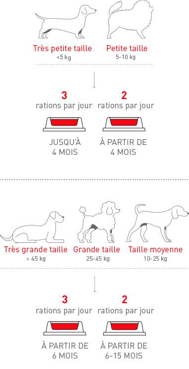 RC_FR_Feeding_schedule_by_growth_stage