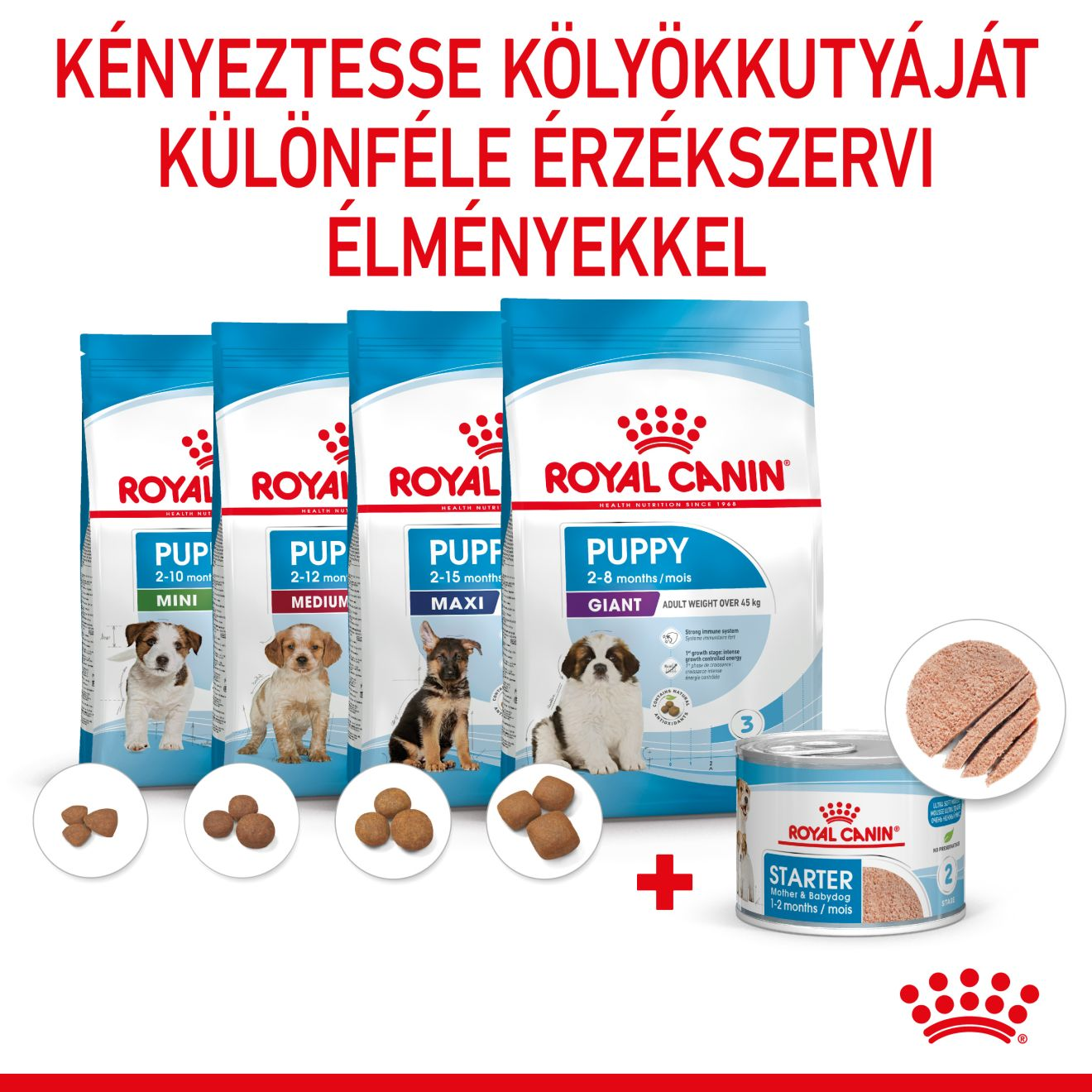 Starter Mother & Babydog – Ultra soft mousse