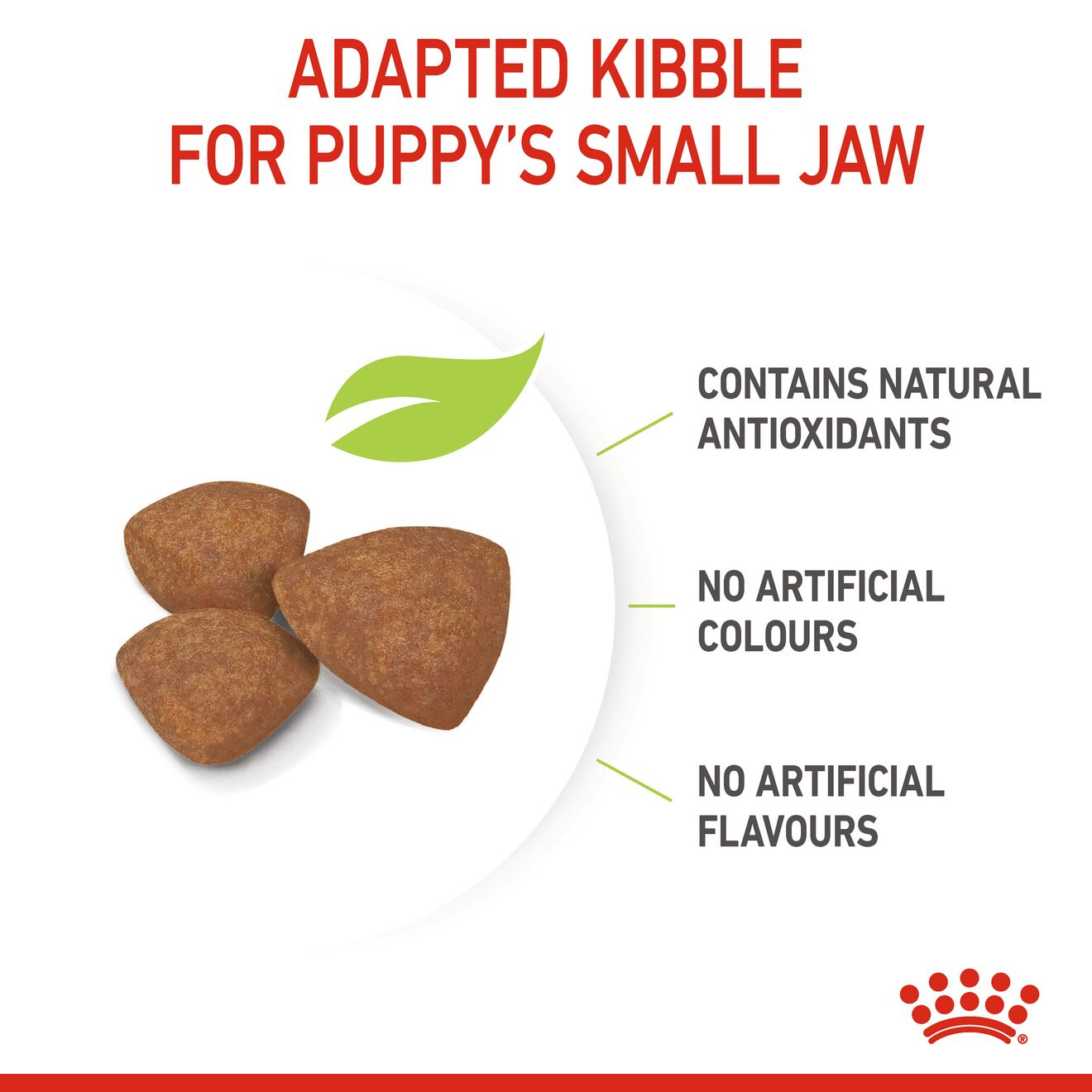 Royal canin store puppy mini 2kg