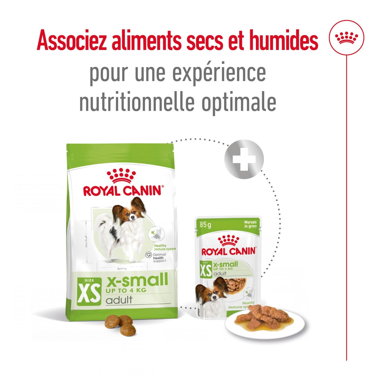 Ração Royal Canin Cães Adultos Xsmall Adult - Aupetmia Petshop