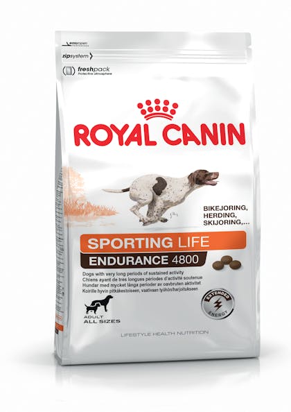 Royal 2025 canin sport