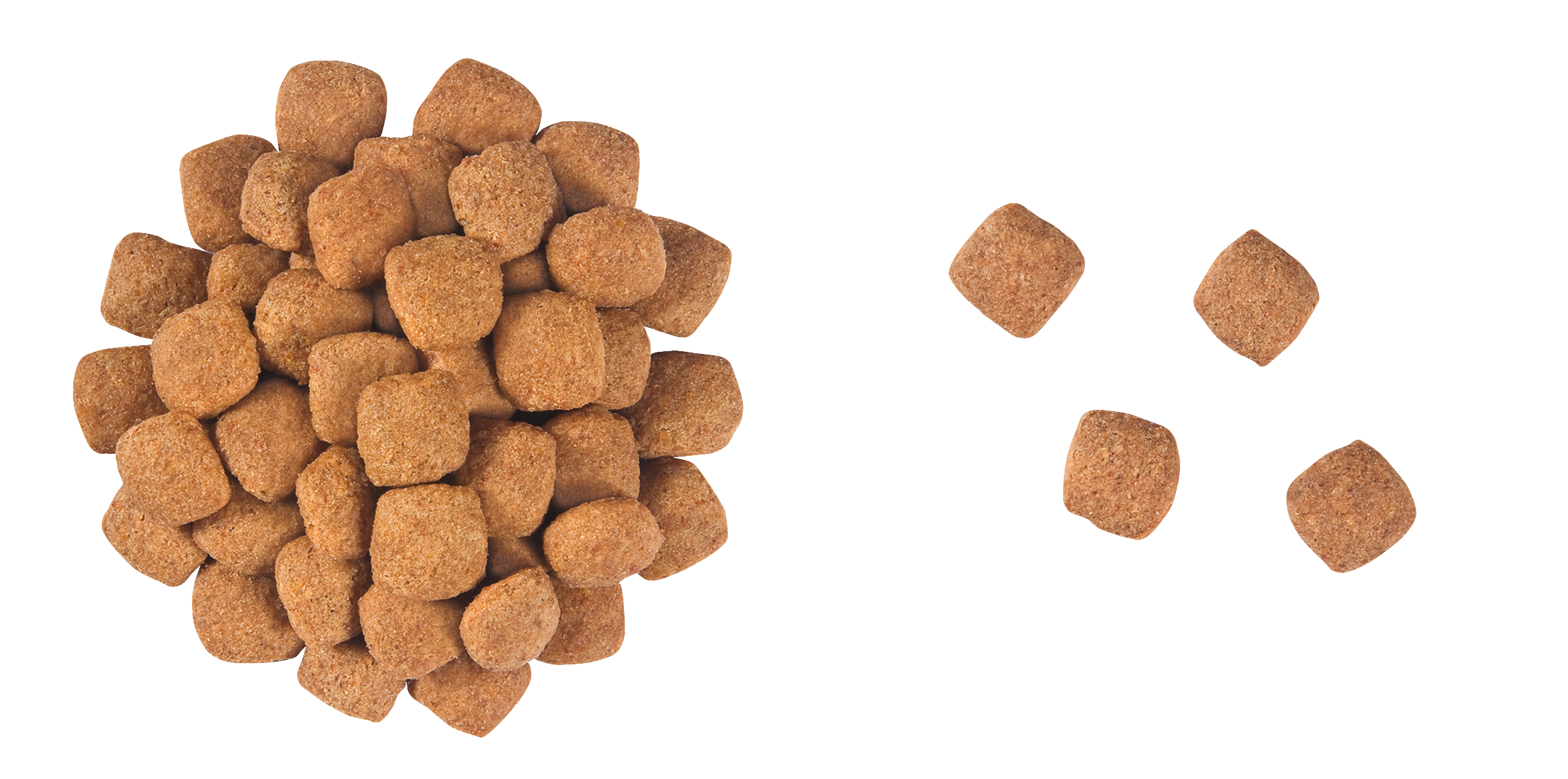 royal canin mature small dog under 10kg