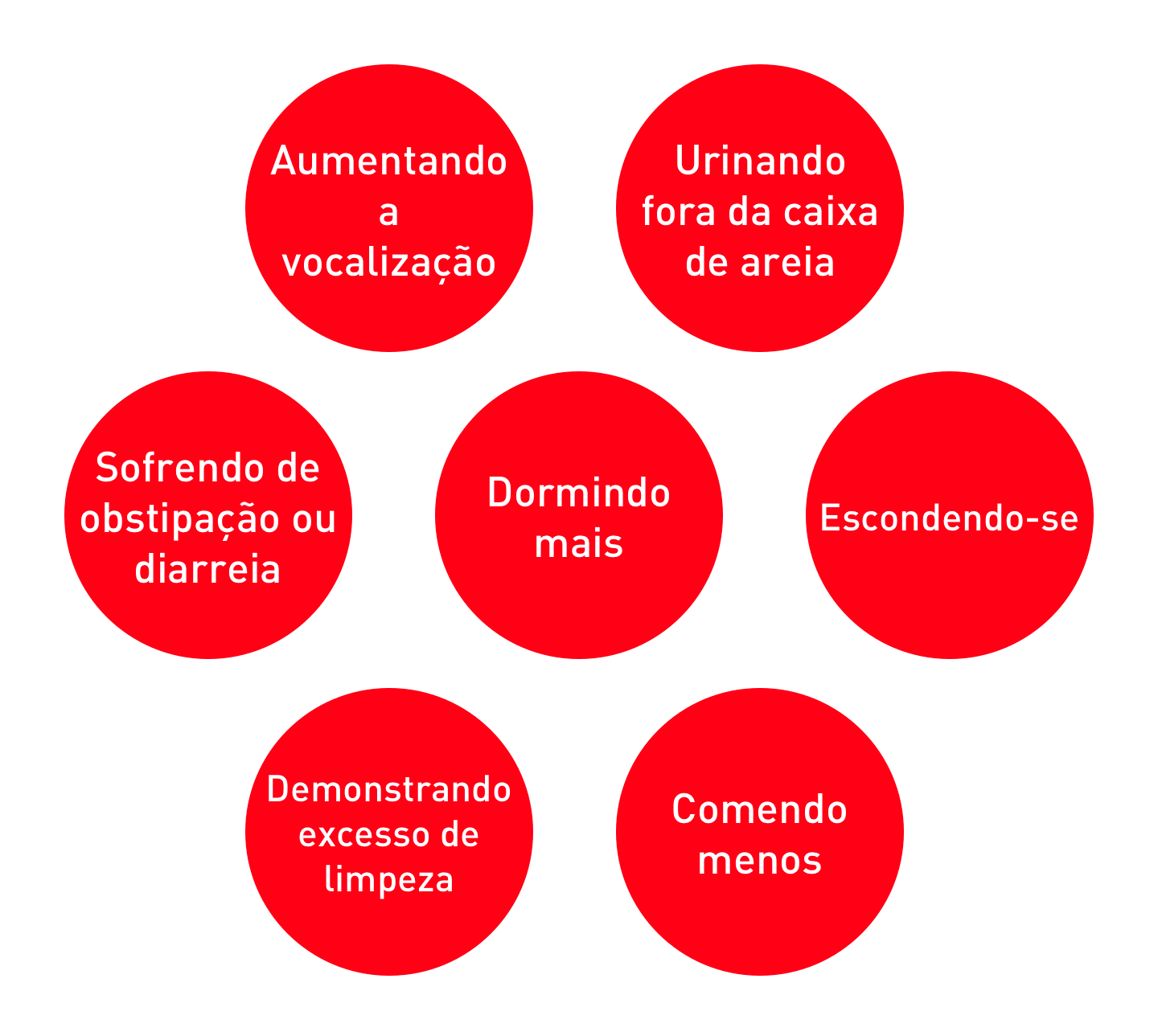 How cats might show signs of stress illustration