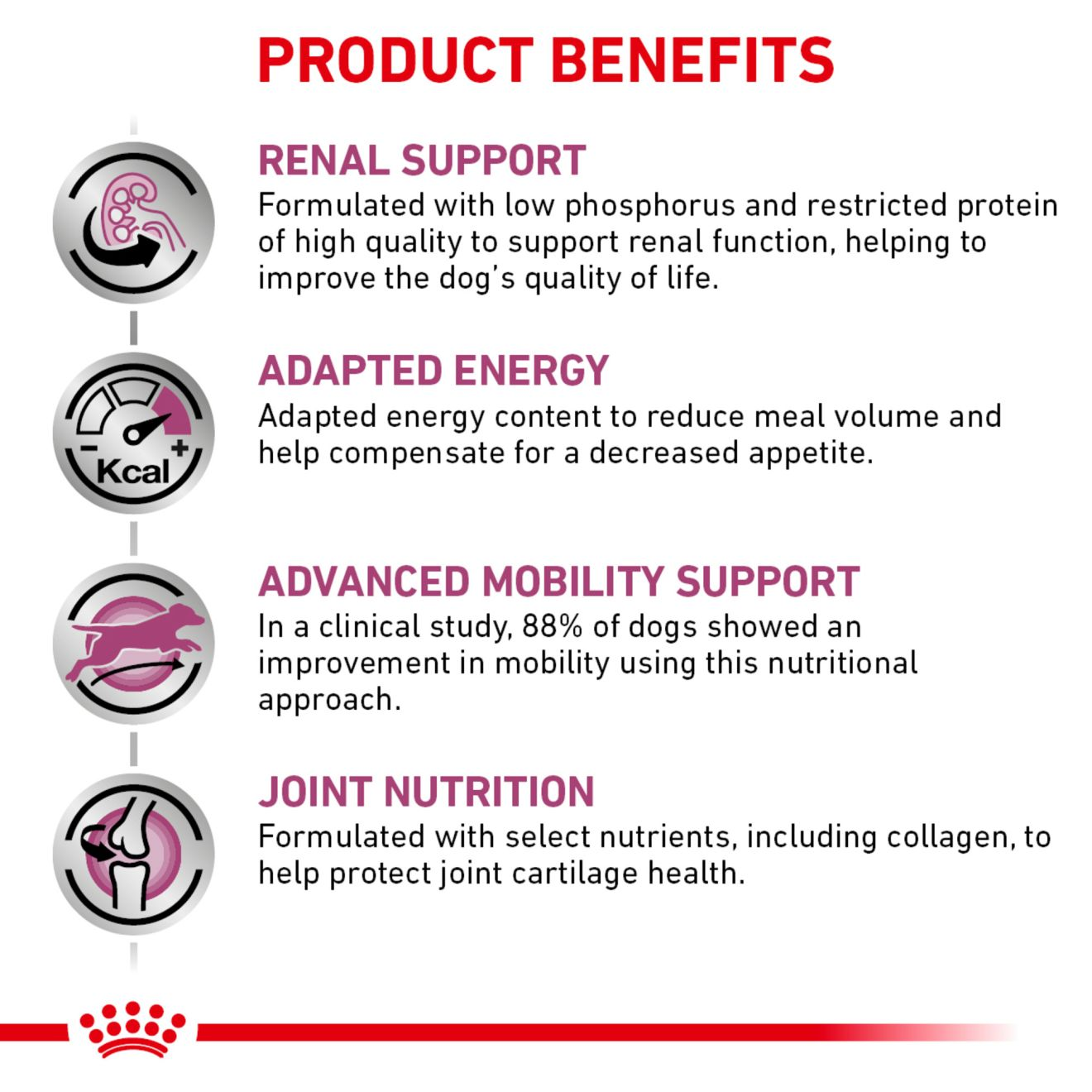 Canine Renal Support + Advanced Mobility Support | Royal Canin US