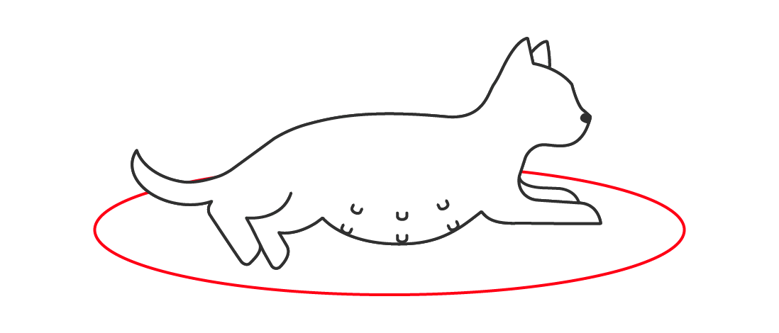 Illustration d'une chatte gestante
