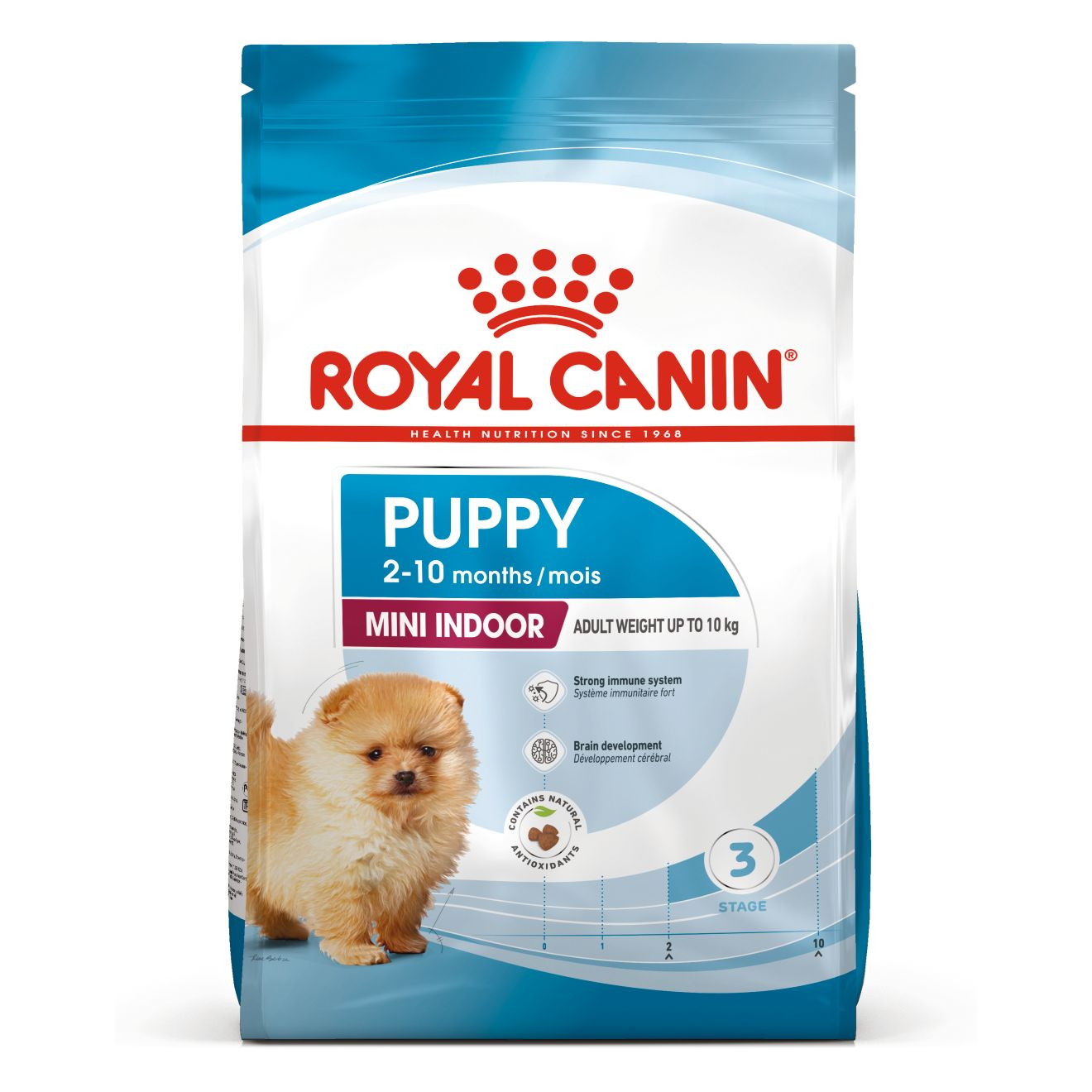 미니 인도어 퍼피