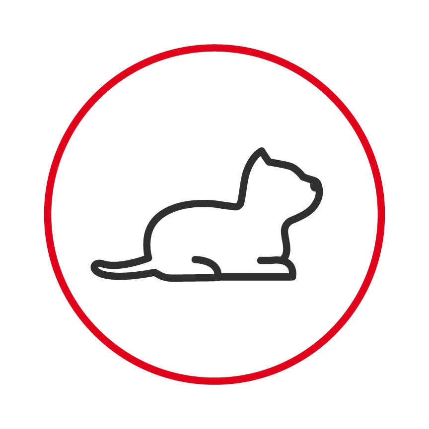 Illustration of cat lying down