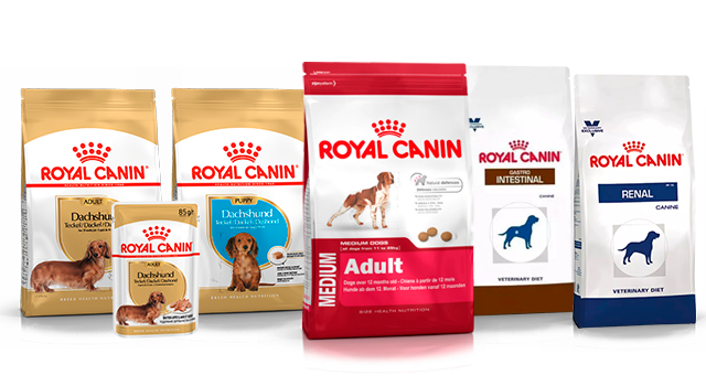 Productos para perros