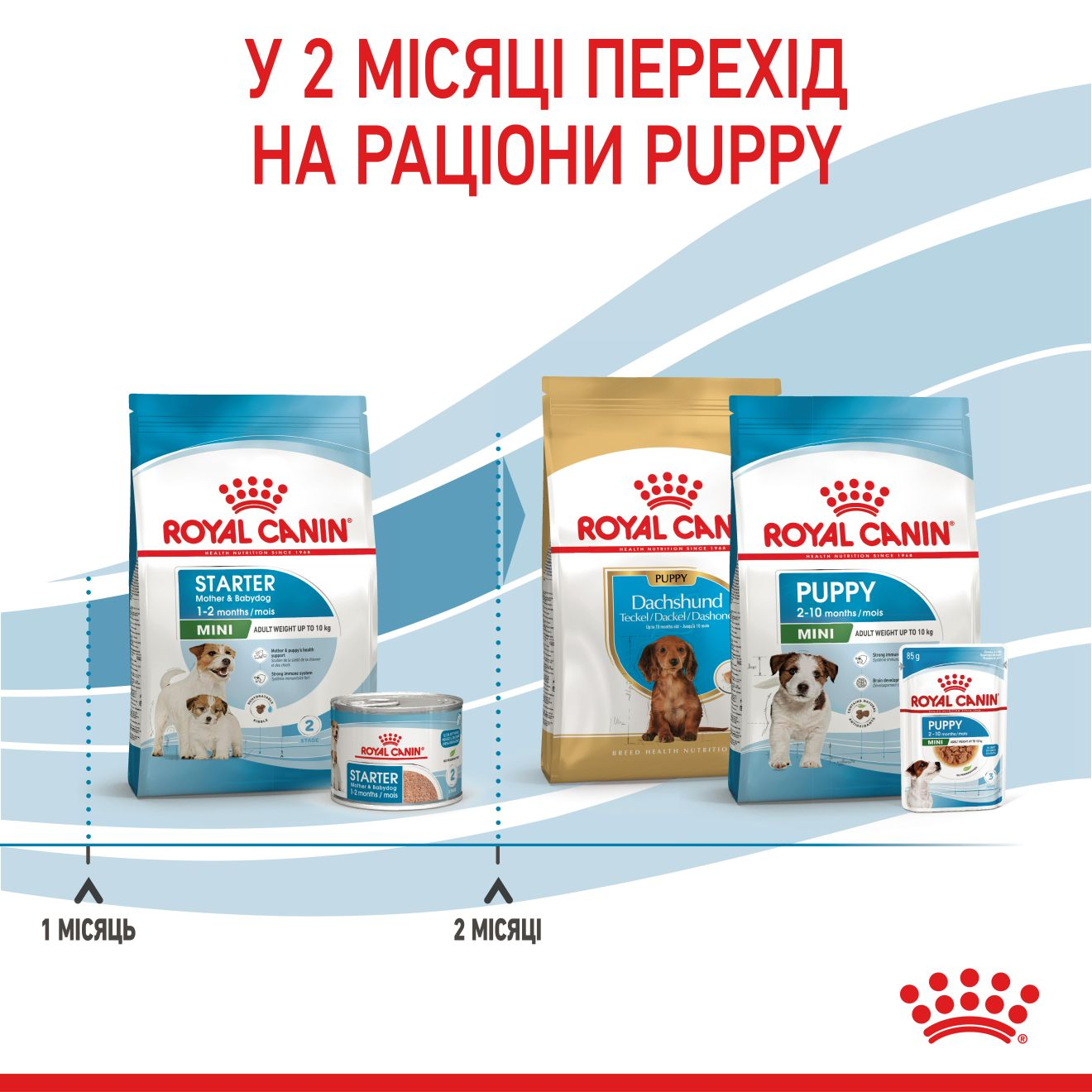 Starter Mother & Babydog - Mini