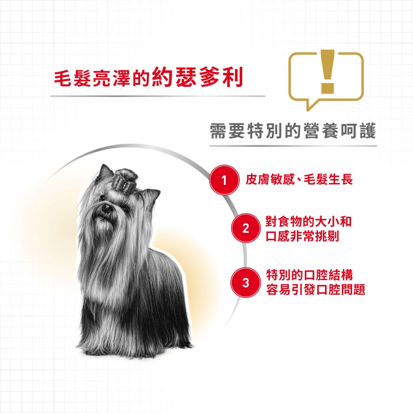 BHN 約瑟爹利成犬專屬配方