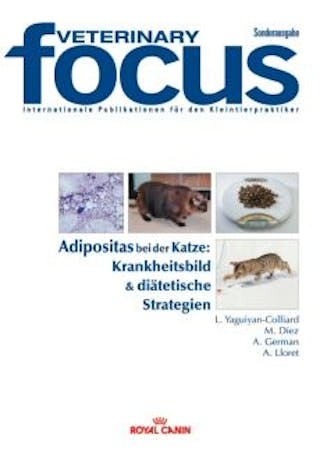 Adipositas bei der Katze: Krankheitsbild & diätetische Strategien