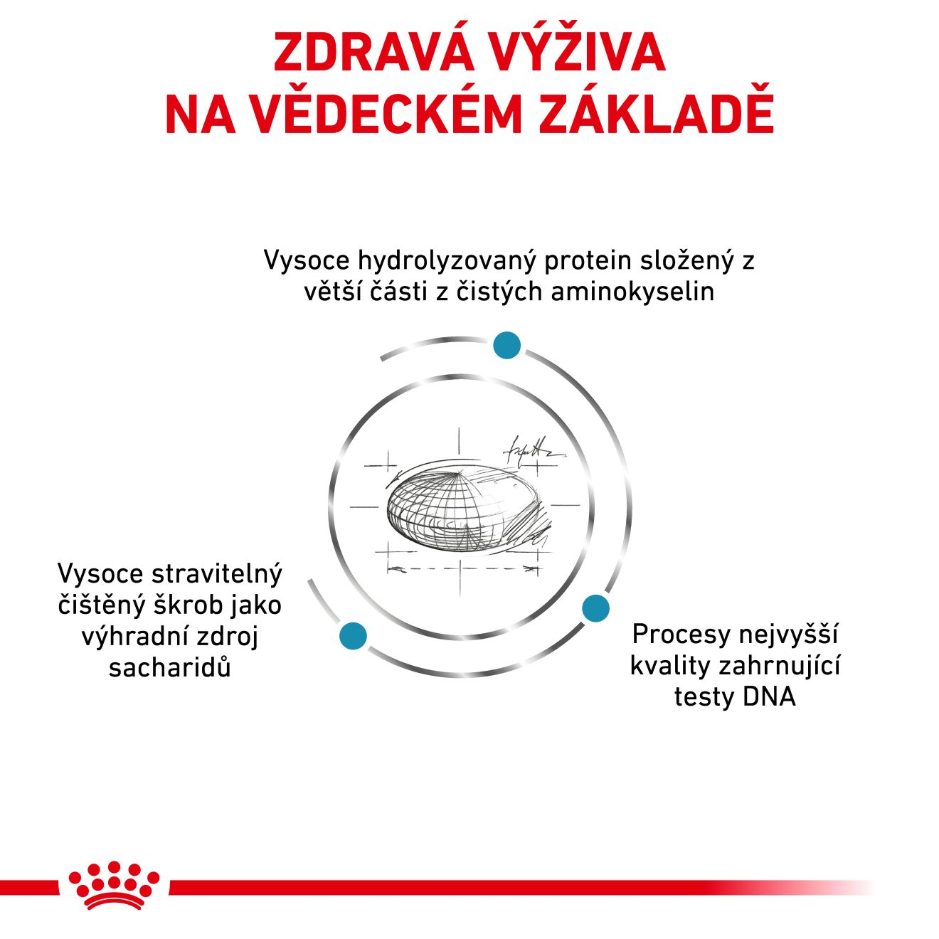 VHN Dog Anallergenic