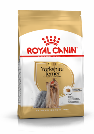 Yorkshire Terrier Adult (Йорширский терьер эдалт)