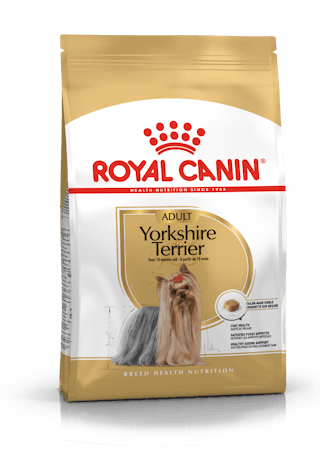 Yorkshire Terrier Adult - TEST Akeneo 