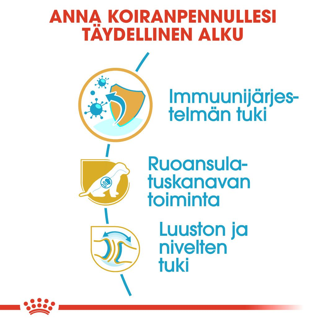 German Shepherd Puppy