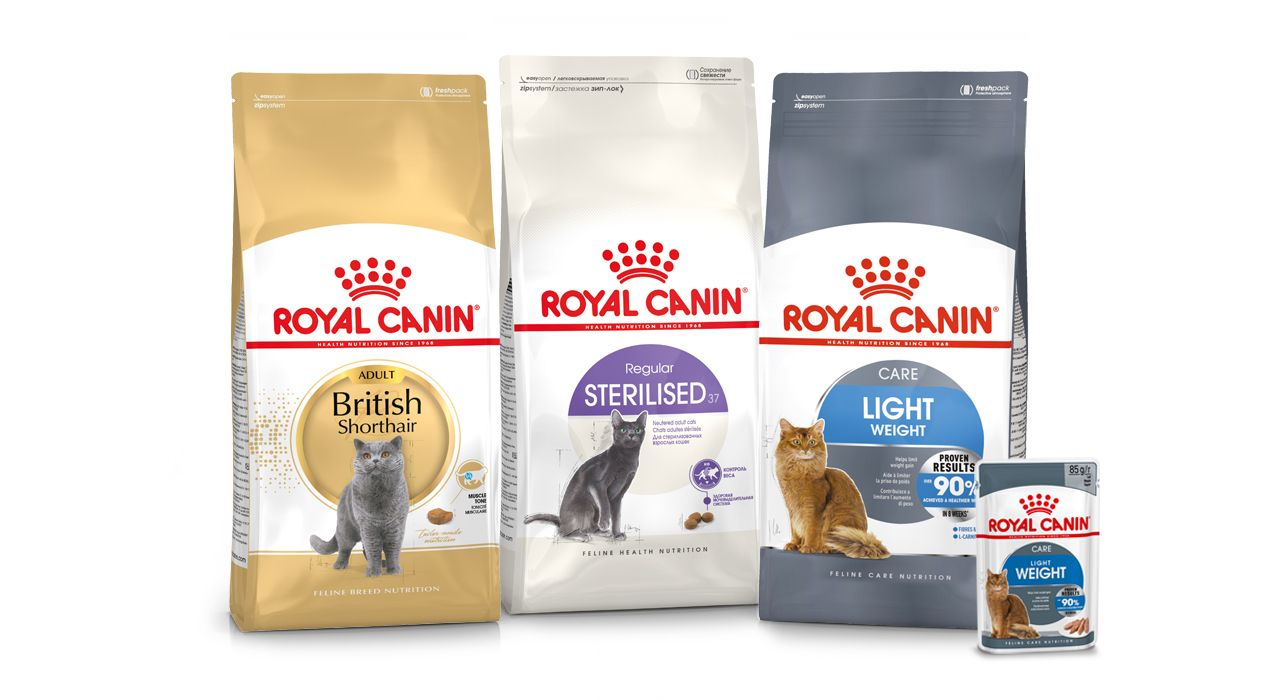 Croquettes et pâtés Royal Canin pour chats adultes