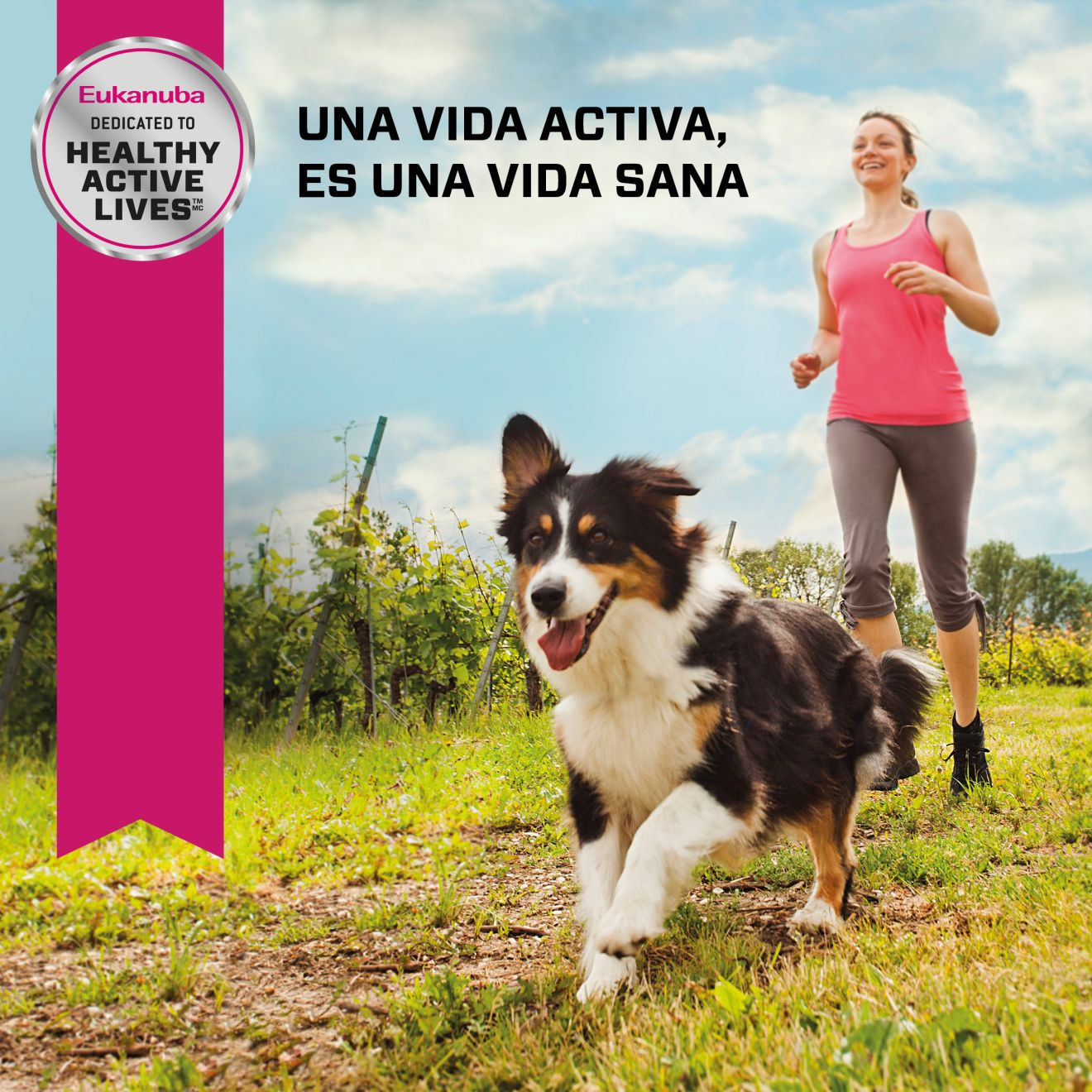Eukanuba™ Senior Medium Breed