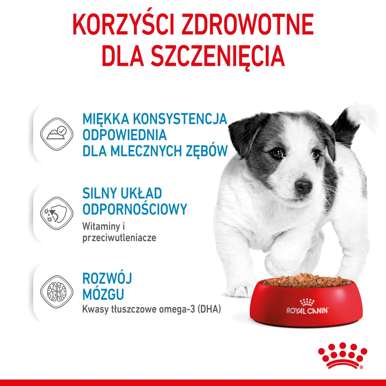 ROYAL CANIN Mini Puppy karma mokra w sosie dla szczeniąt do 10 miesiąca, ras małych