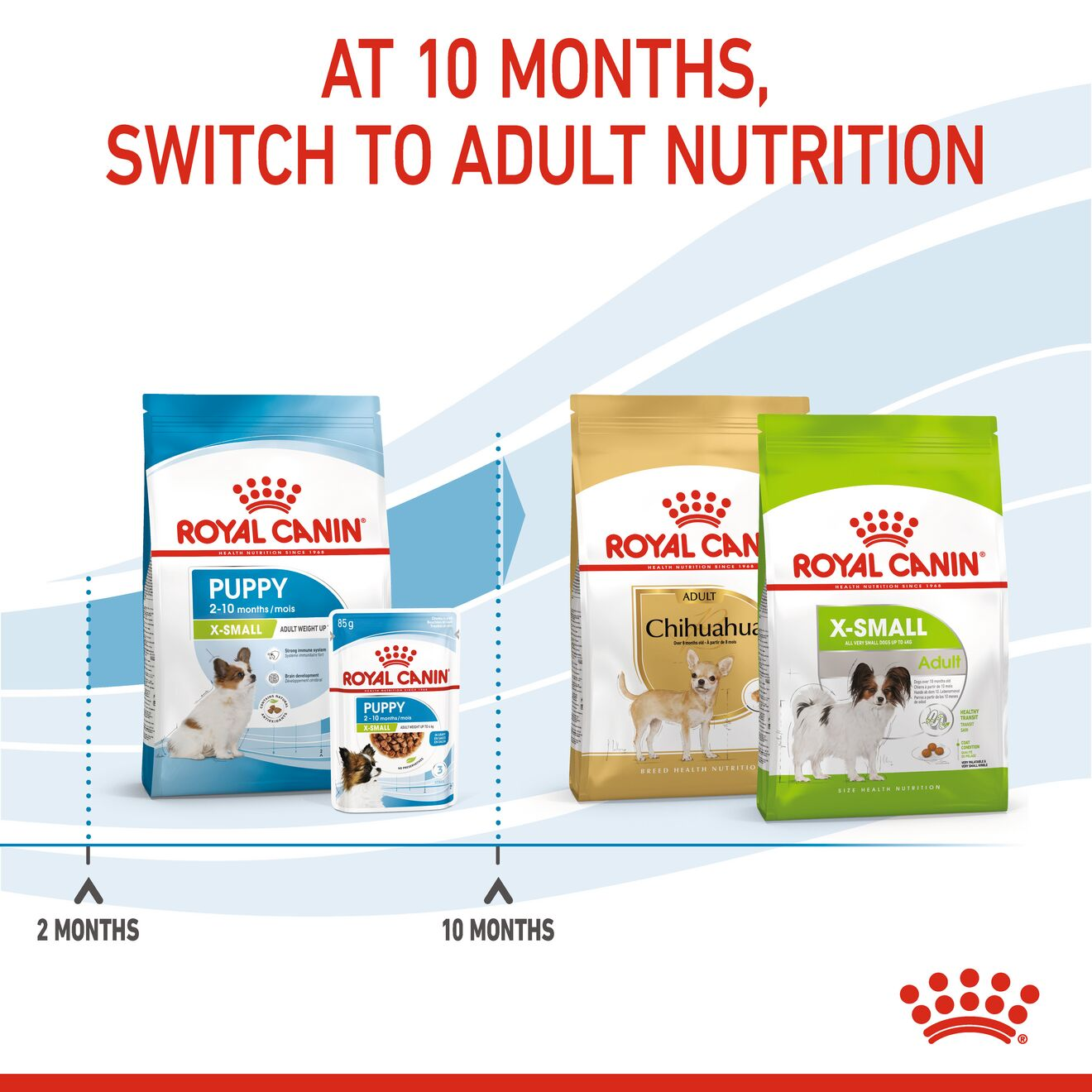 Royal Canin® Size Health Nutrition™ X-Small Puppy Dry Dog Food