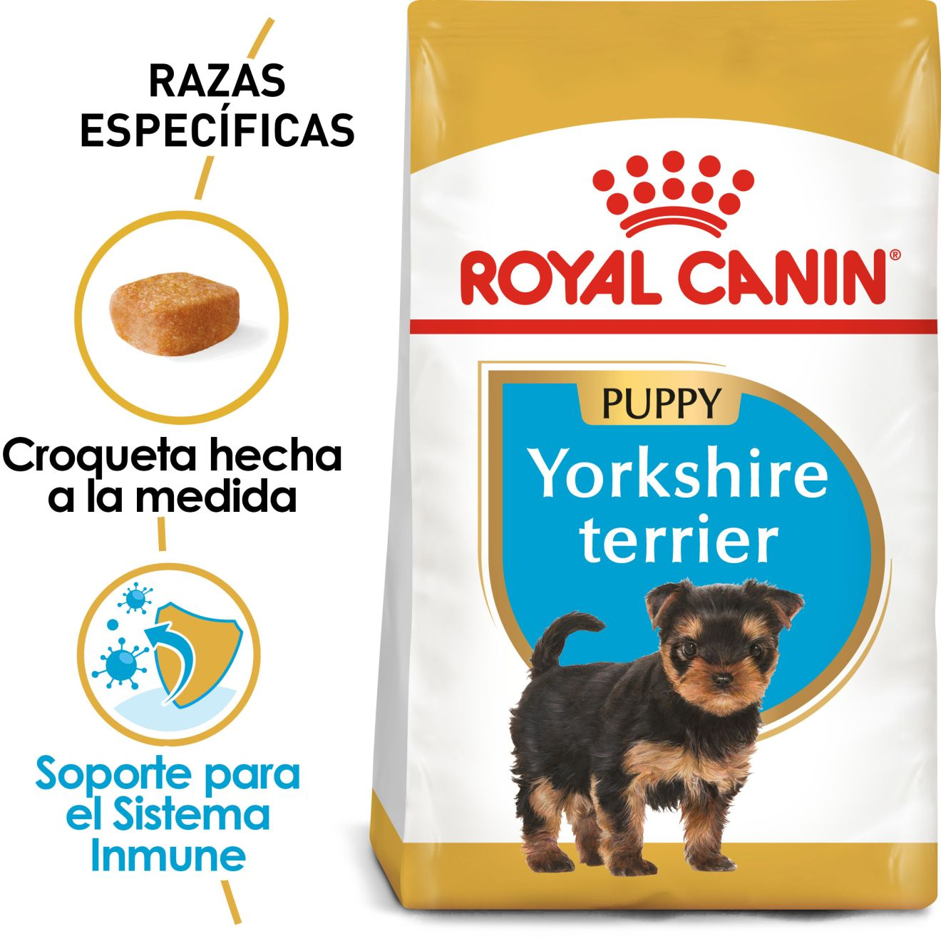 Yorkshire Terrier Cachorro