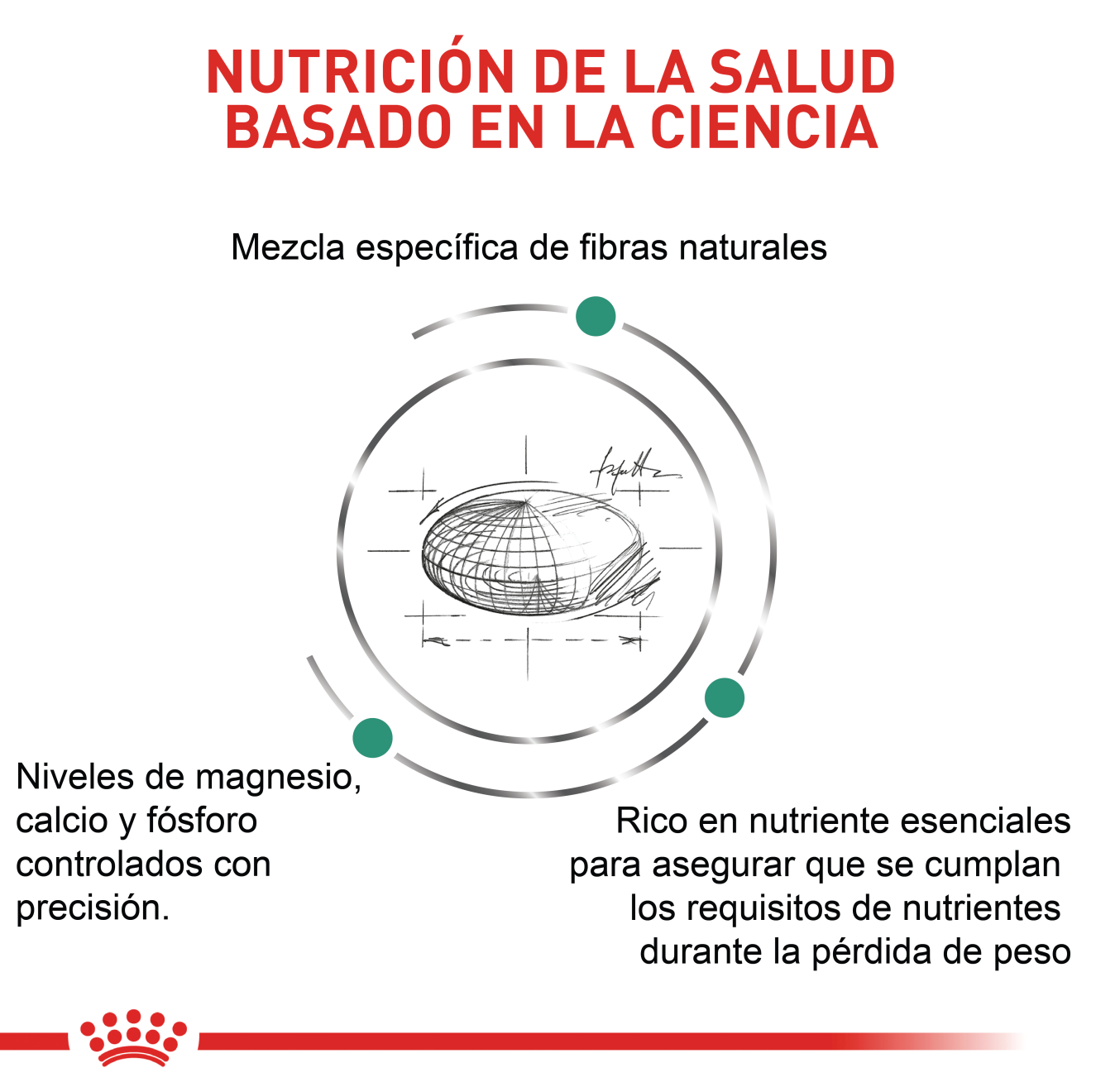 Satiety Weight Management Perro Pequeño